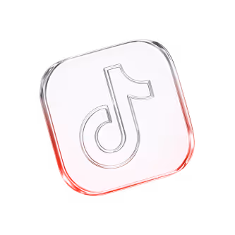 TikTok Ads